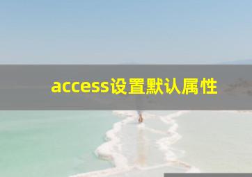 access设置默认属性