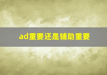 ad重要还是辅助重要