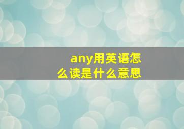 any用英语怎么读是什么意思