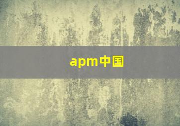 apm中国