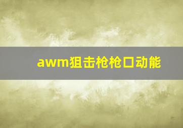 awm狙击枪枪口动能