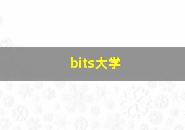 bits大学