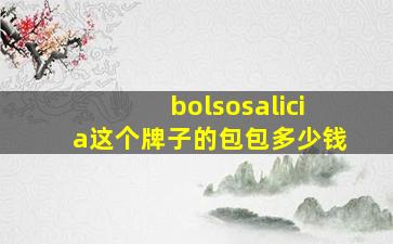 bolsosalicia这个牌子的包包多少钱