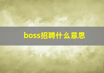 boss招聘什么意思