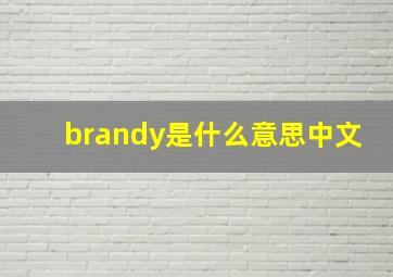 brandy是什么意思中文