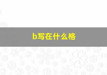 b写在什么格