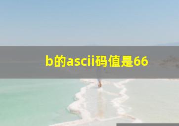 b的ascii码值是66