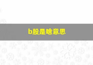 b股是啥意思