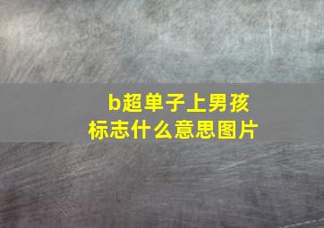 b超单子上男孩标志什么意思图片