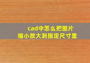 cad中怎么把图片缩小放大到指定尺寸里