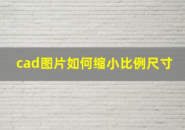 cad图片如何缩小比例尺寸