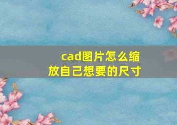 cad图片怎么缩放自己想要的尺寸