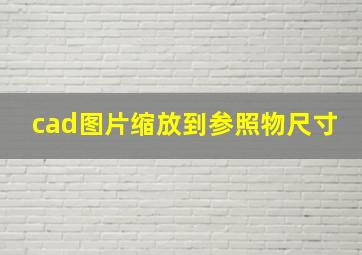 cad图片缩放到参照物尺寸