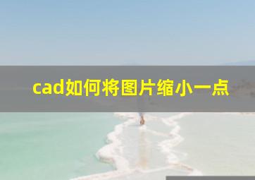 cad如何将图片缩小一点