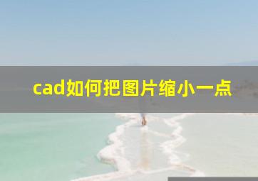 cad如何把图片缩小一点