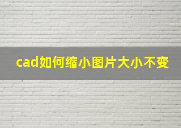 cad如何缩小图片大小不变