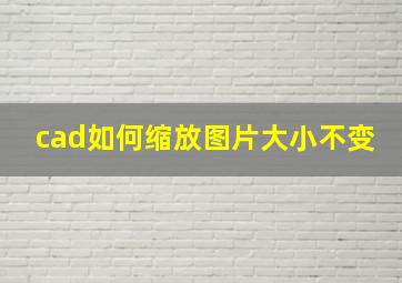 cad如何缩放图片大小不变