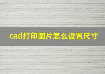 cad打印图片怎么设置尺寸