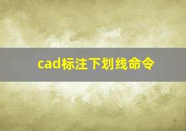 cad标注下划线命令