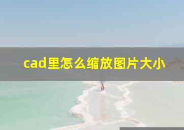 cad里怎么缩放图片大小