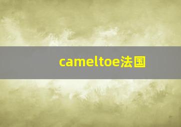 cameltoe法国