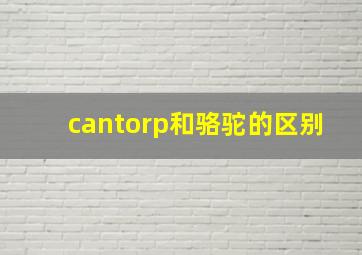 cantorp和骆驼的区别