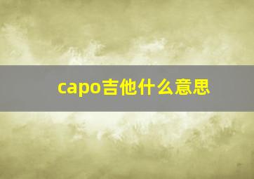 capo吉他什么意思