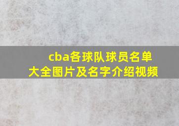 cba各球队球员名单大全图片及名字介绍视频