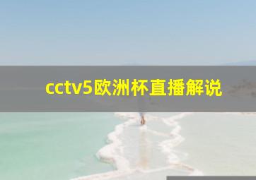 cctv5欧洲杯直播解说