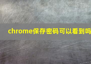 chrome保存密码可以看到吗