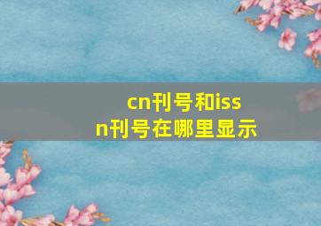 cn刊号和issn刊号在哪里显示