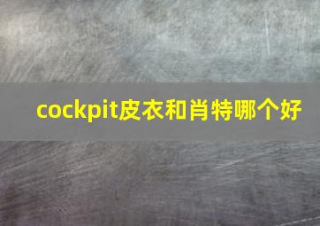 cockpit皮衣和肖特哪个好