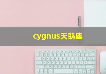 cygnus天鹅座