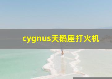 cygnus天鹅座打火机