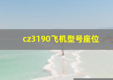 cz3190飞机型号座位