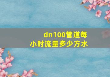 dn100管道每小时流量多少方水