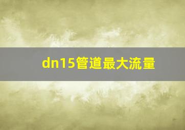 dn15管道最大流量