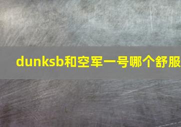 dunksb和空军一号哪个舒服