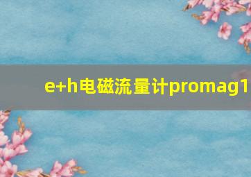 e+h电磁流量计promag10