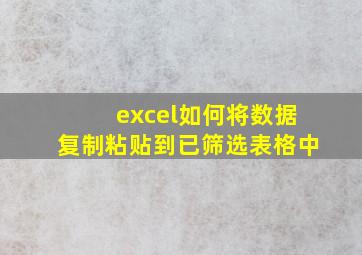 excel如何将数据复制粘贴到已筛选表格中