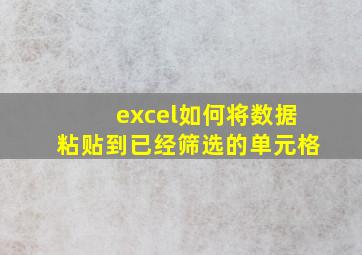 excel如何将数据粘贴到已经筛选的单元格