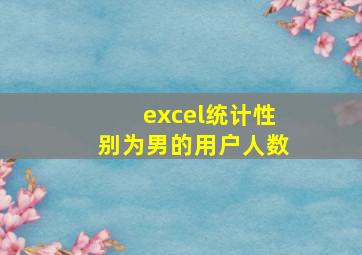 excel统计性别为男的用户人数