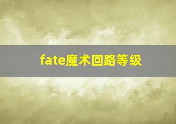 fate魔术回路等级