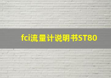 fci流量计说明书ST80