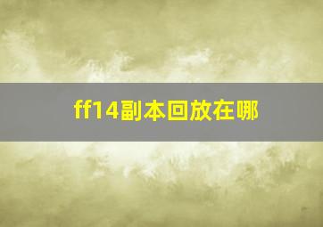 ff14副本回放在哪