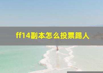 ff14副本怎么投票踢人