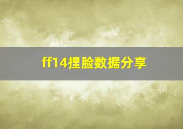 ff14捏脸数据分享