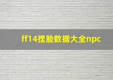 ff14捏脸数据大全npc