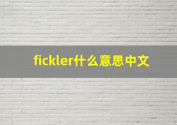 fickler什么意思中文