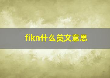 fikn什么英文意思